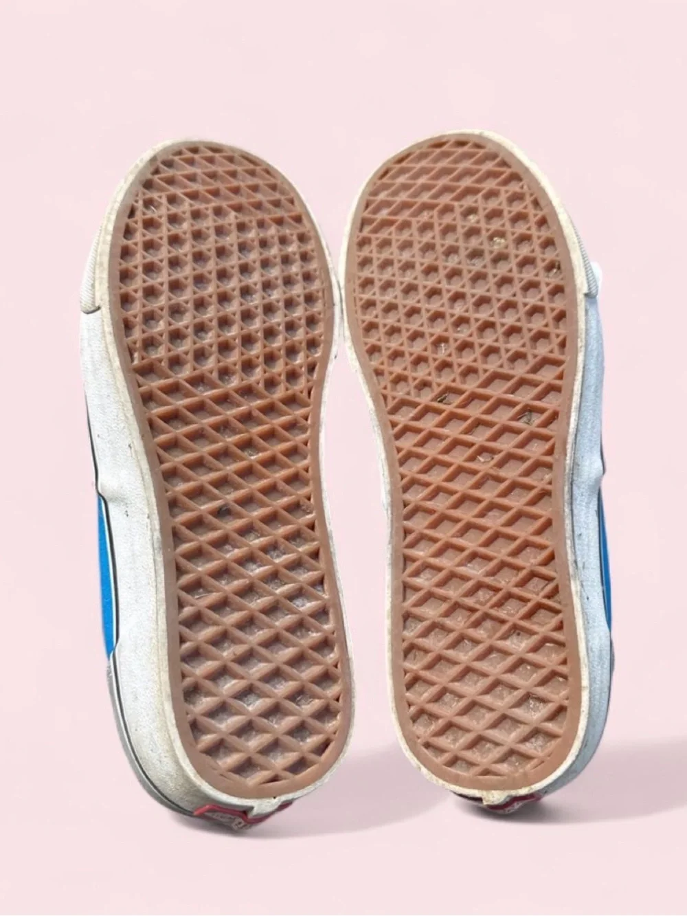 Vans Two-Tone Blue and Red Low-Top Sneakers